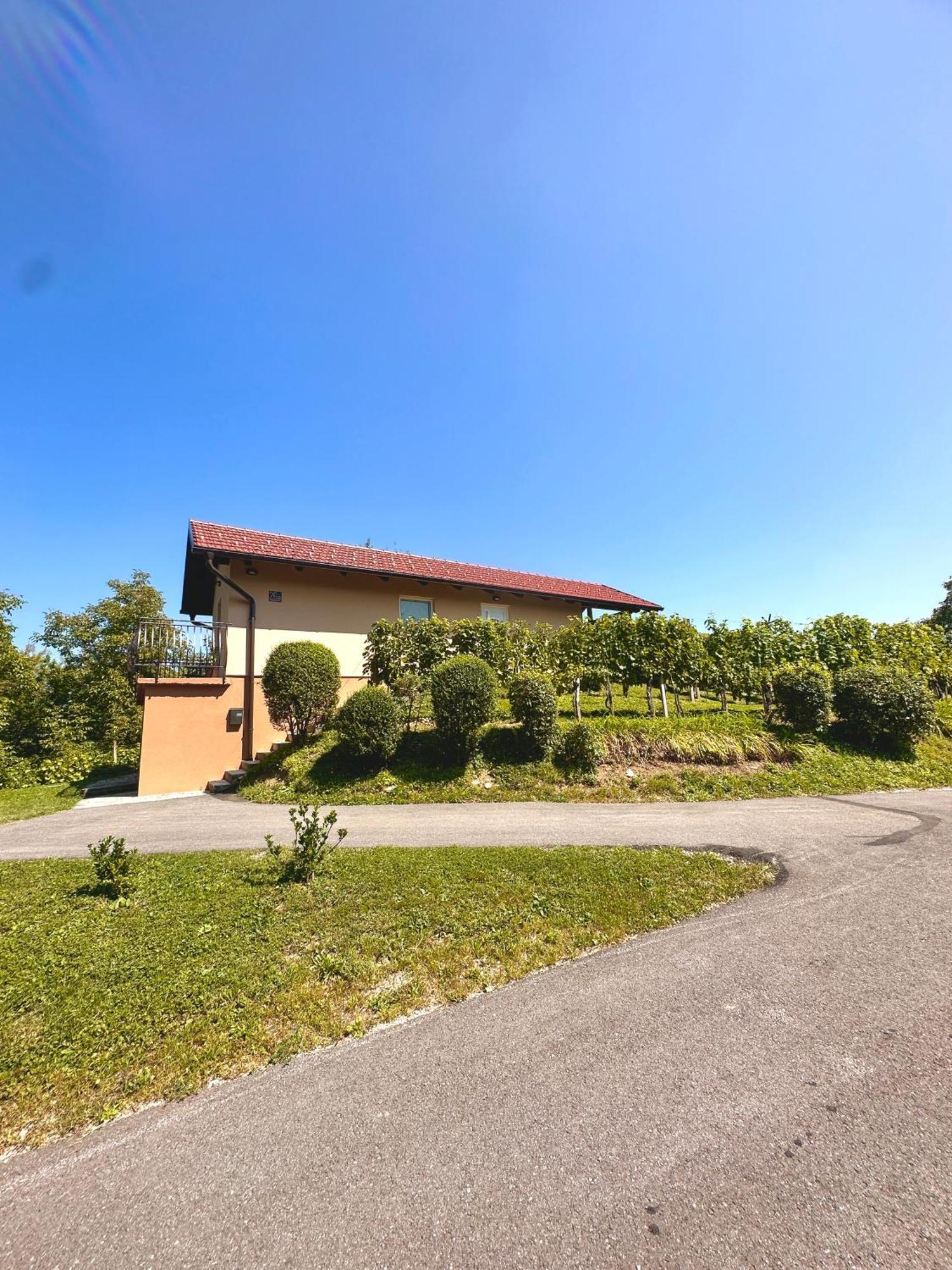 Holiday House Tomajna Podlehnik Exterior photo